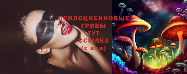 СК Алзамай