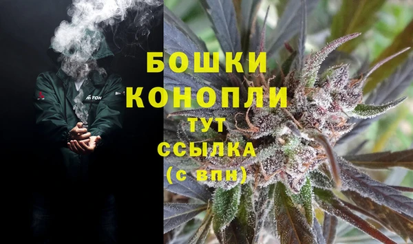 СК Алзамай