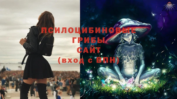СК Алзамай