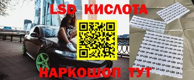 спиды Гатчина