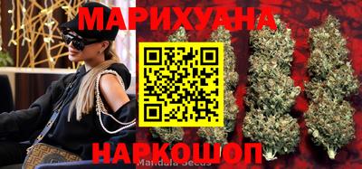 спиды Гатчина