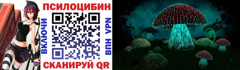 Галлюциногенные грибы прущие грибы Карачаевск