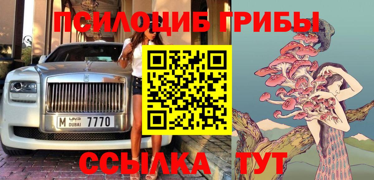 Галлюциногенные грибы Psilocybine cubensis Карачаевск