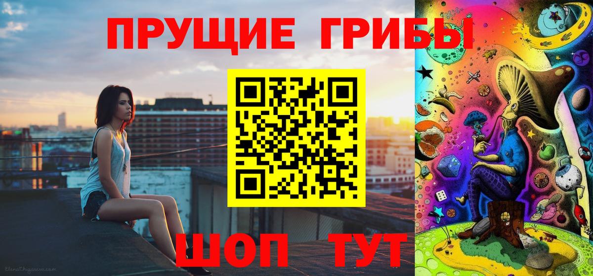 Псилоцибиновые грибы прущие грибы  Вход с VPN  Карачаевск 